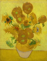 Sonnenblumen